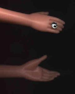 Long and Graceful Hands