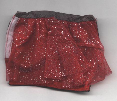 Dressy Skirt