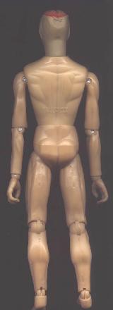 Doll Back