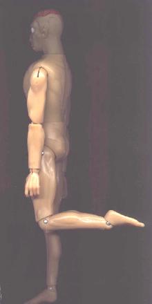 Doll Side