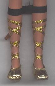 Wearing Shoes